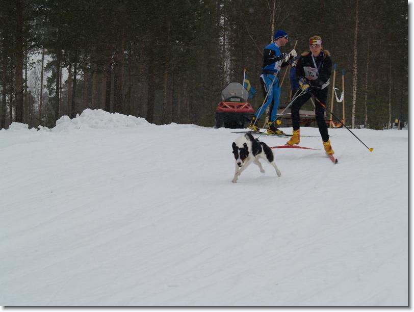 Nästa bild